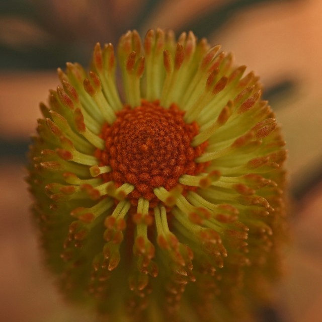 Mooi P1019283