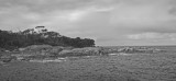 Mooi P1019518