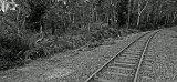 Mooi P1019828