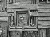 Mooi P1019772