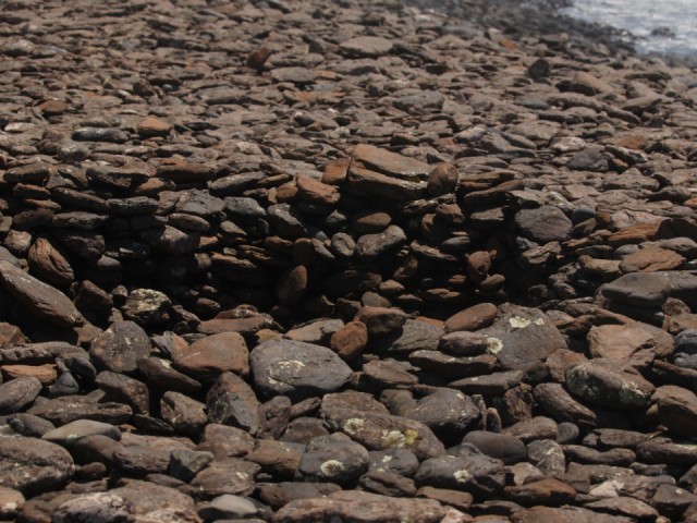 P1019625