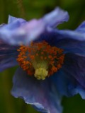 Mooi P1011223