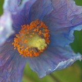 Mooi P1011217