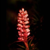 Mooi P1011473