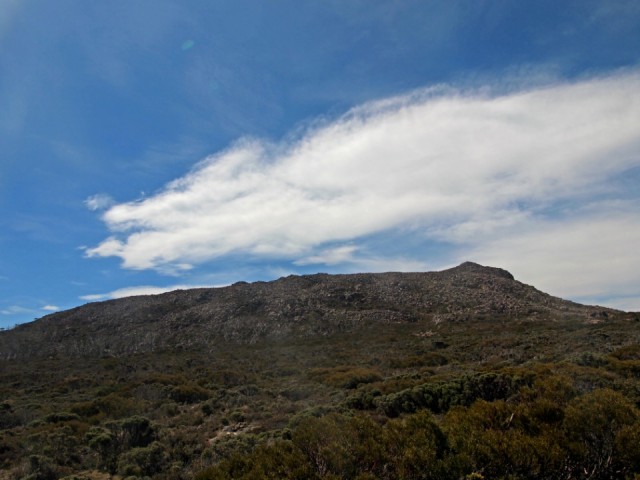 Mooi P1011540