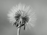 Mooi P1012483