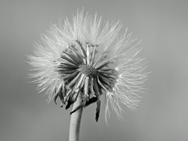 Mooi P1012483