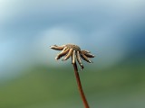 Mooi P1012492