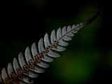 Mooi P1012612