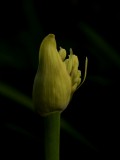 Mooi P1013397