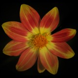 Mooi P1013418