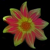 Mooi P1013430