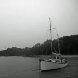 Mooi P1013328