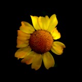 Mooi P1013991