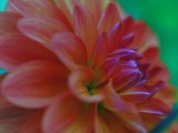 Mooi P1014080