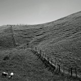Mooi P1014252