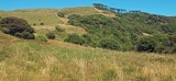 Mooi P1014254