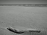 Mooi P1014263