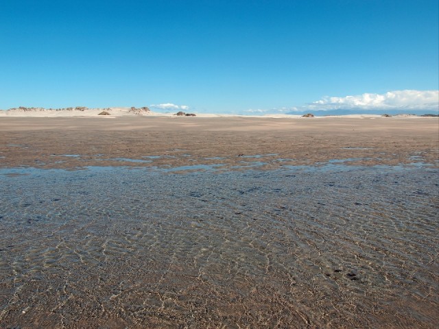 Mooi P1014585