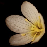 Mooi P1015361