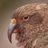 Mooi P1016286