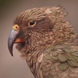 Mooi P1016288