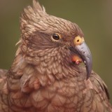 Mooi P1016293
