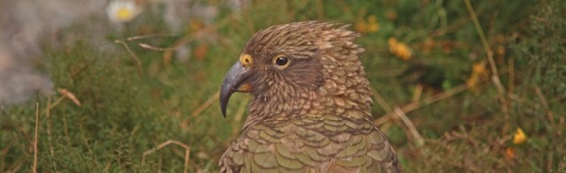 Mooi P1016299