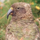 Mooi P1016300