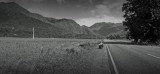 Mooi P1016428