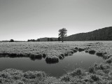 Mooi P1016501