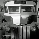 Mooi P1016952