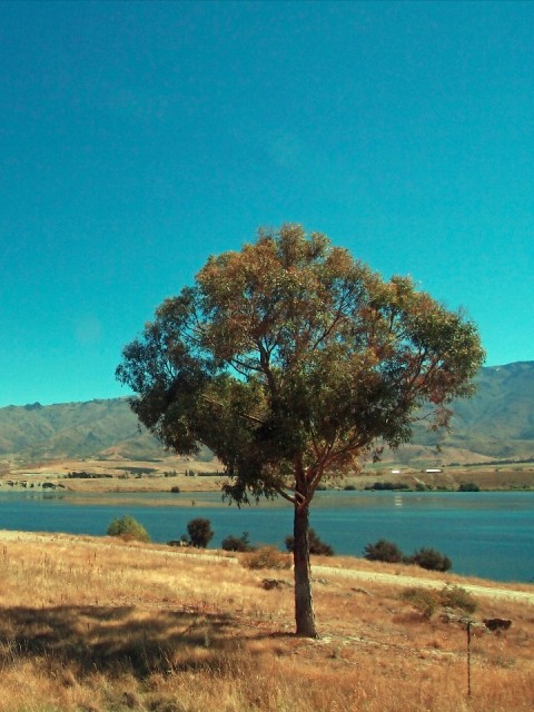 Mooi P1017083