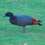 Mooi P1017252