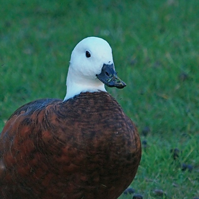 Mooi P1017256