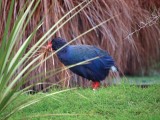 Mooi P1017529
