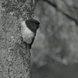 Mooi P1018171