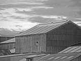 Mooi P1017619