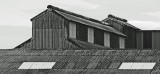 Mooi P1017632