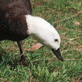 Mooi P1018516