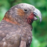 Mooi P1018576