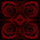 Mooi P1015876