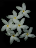 Mooi P1015974