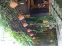 Hoi an