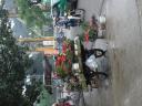 In Hue