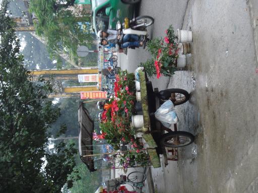 In Hue