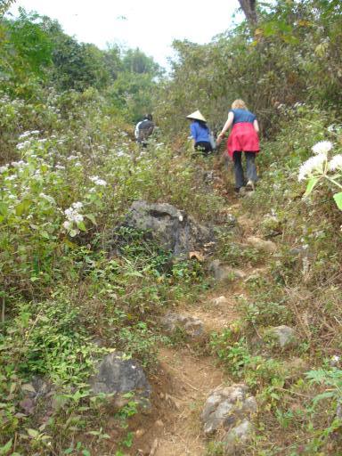 Hike Mai chau