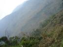 Mai chau