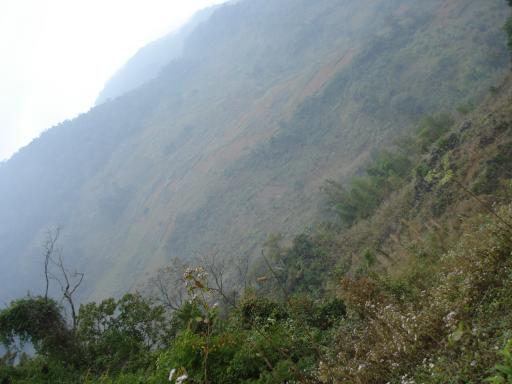 Mai chau