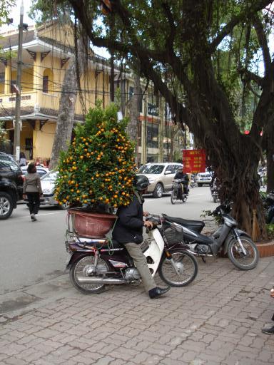 Hanoi, verse mandarijnen!